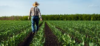 Dia do Agricultor: Celebrando o Trabalho e a Contribuição para o Brasil