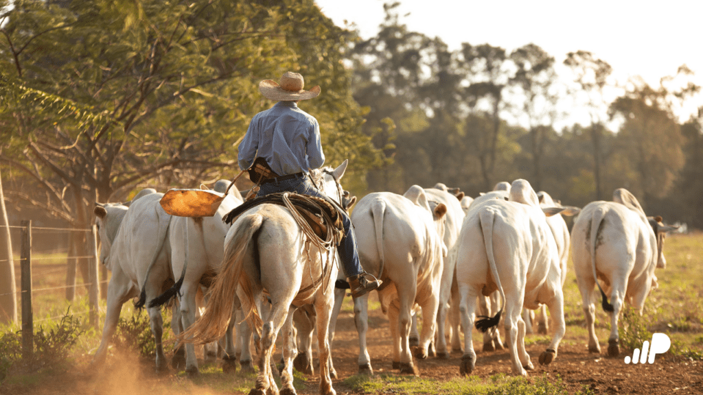 Dia Nacional do Pecuarista: Reconhecendo o Valor e os Desafios da Pecuária Brasileira