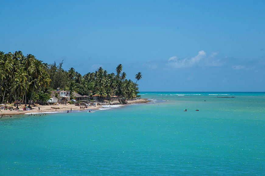 Guia Completo para Empreendedores em Alagoas!