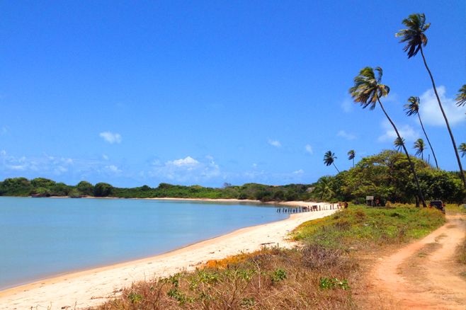 Guia Completo para Empreendedores na Paraíba!