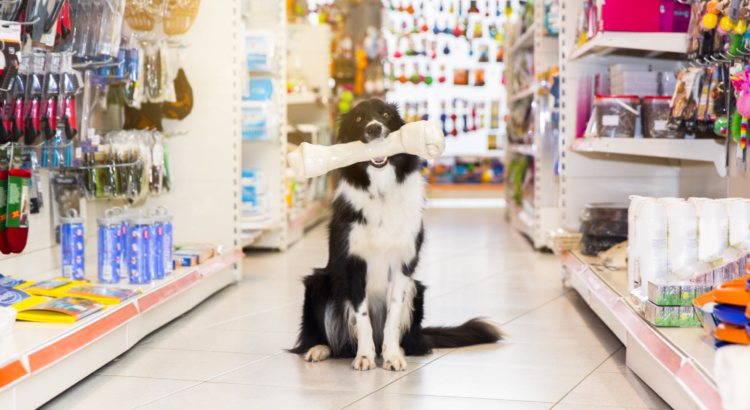 Nichos lucrativos: ideias para começar hoje | InteraUp