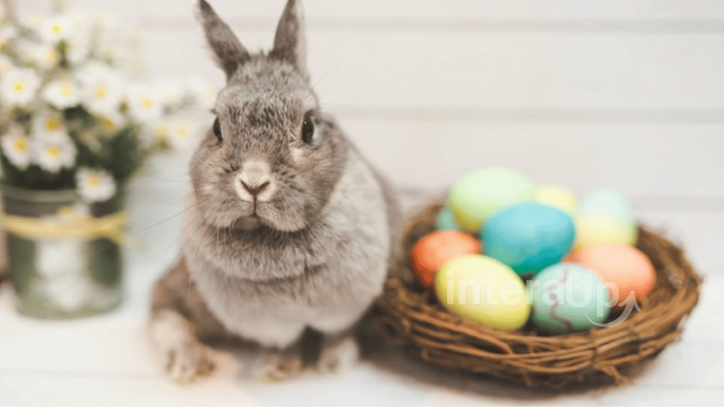 Páscoa: Significado, Tradições e Celebrações