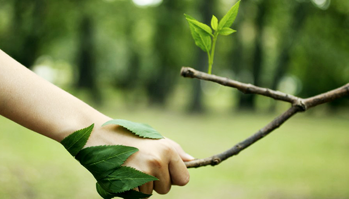 O que é licença ambiental: obtenção e importância | InteraUp