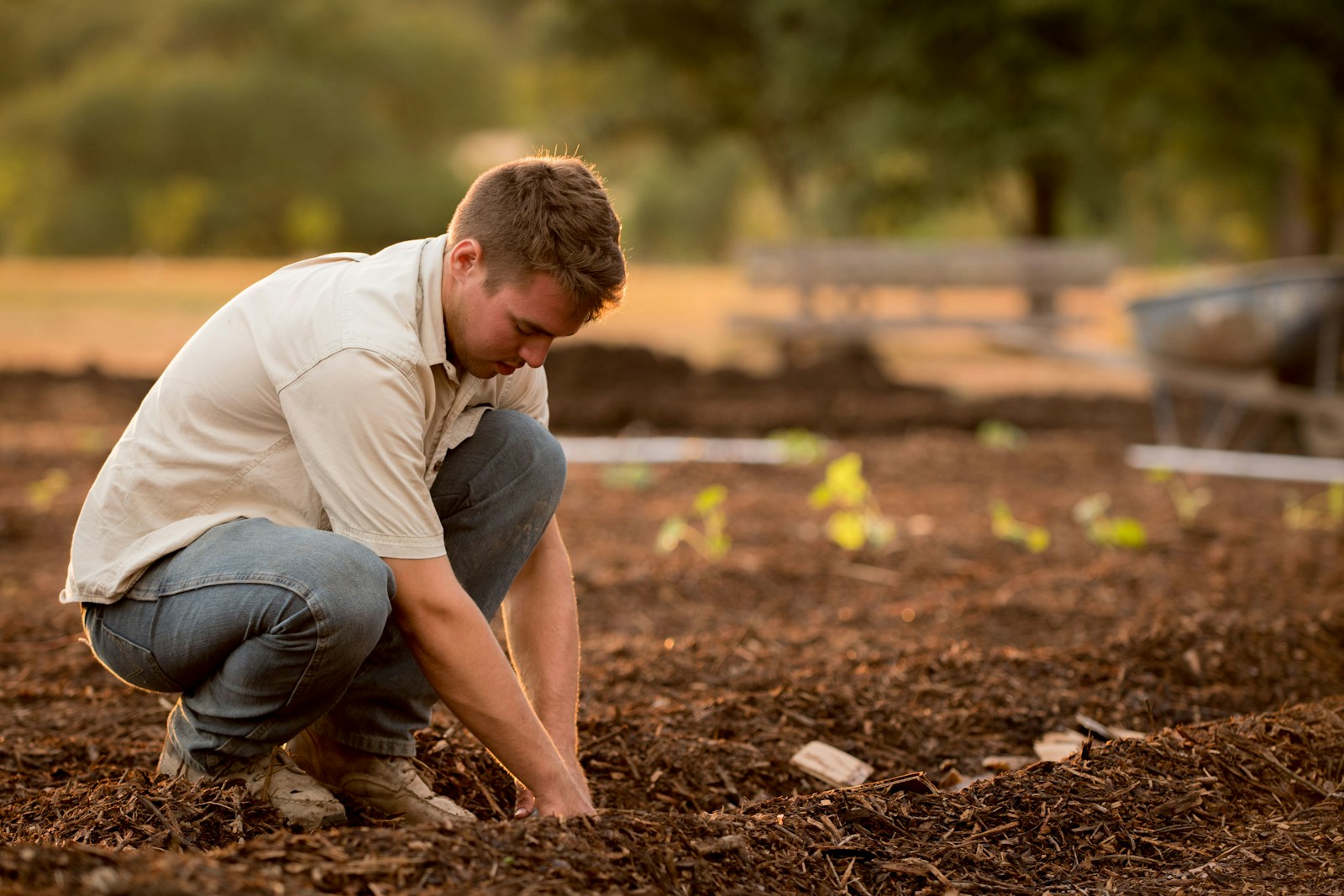 Jardineiro plantando mudas em jardim residencial